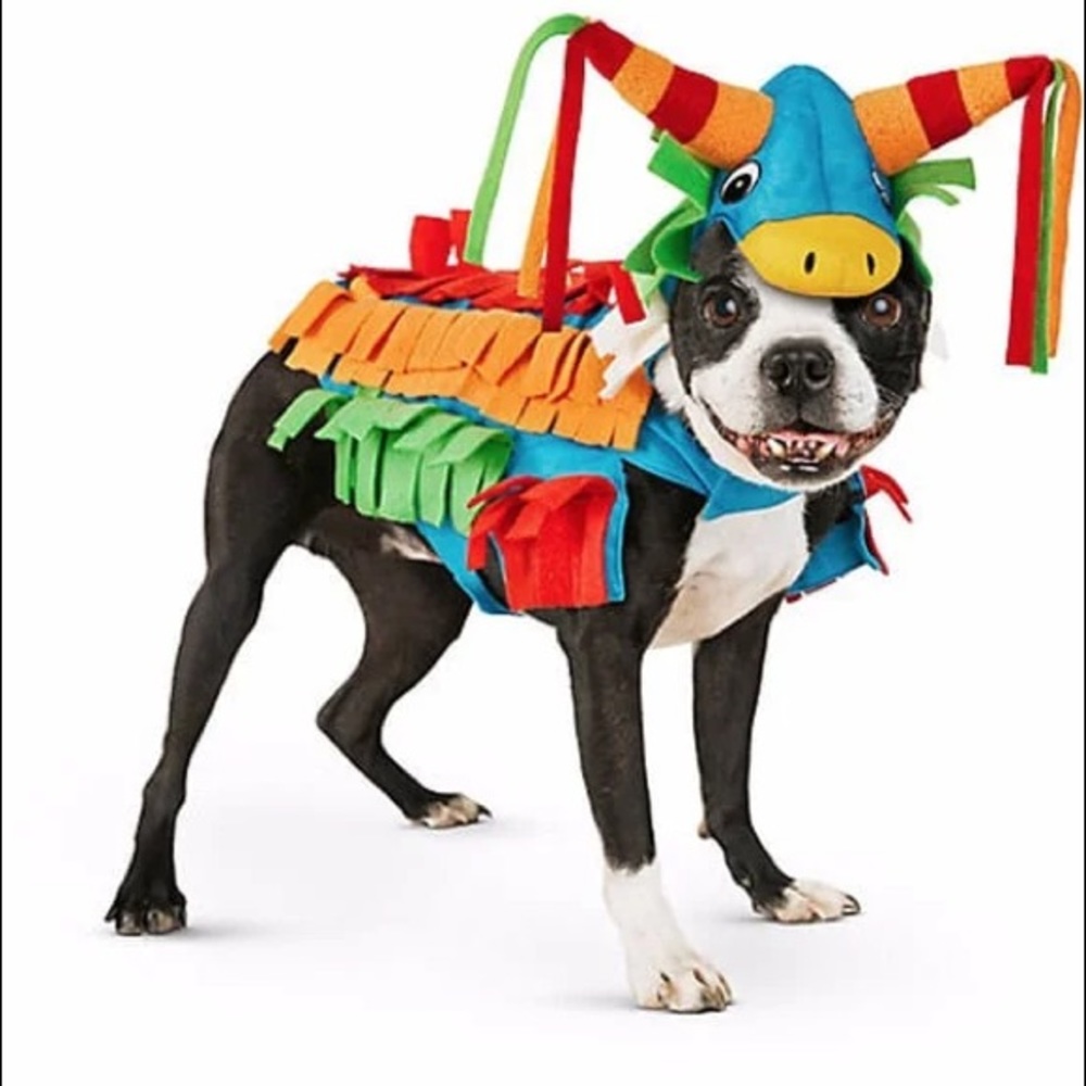 Dog Piñata Halloween Costume